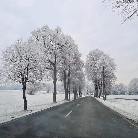 Safran * Bardejovské Kúpele