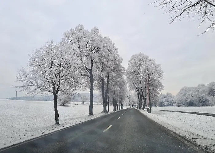 Safran * Bardejovské Kúpele